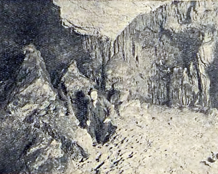Rezerwat Sokole Góry
